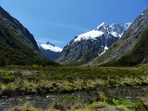 On the drive to Milford Sound, Nov 2015